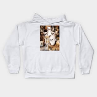 Chihuahuas Kids Hoodie